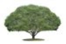 LogoTree